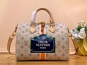 Louis Vuitton Speedy Monopaname Beige 25 Bag - 1