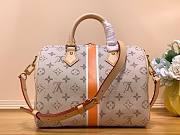 Louis Vuitton Speedy Monopaname Beige 25 Bag - 3