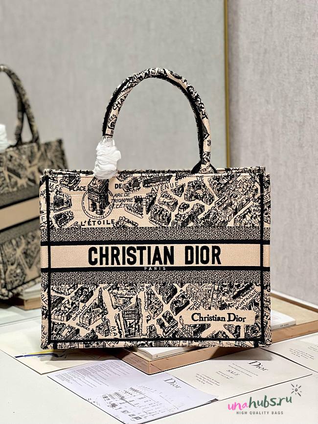 Dior medium book tote beige plan de Paris embroidery bag  - 1