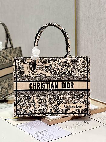 Dior medium book tote beige plan de Paris embroidery bag 