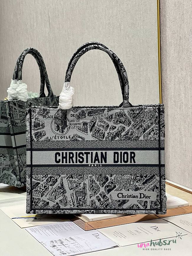 Dior medium book tote gray plan de Paris embroidery bag - 1