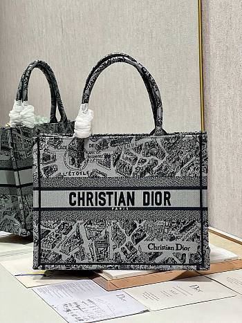 Dior medium book tote gray plan de Paris embroidery bag