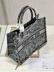 Dior medium book tote gray plan de Paris embroidery bag - 5