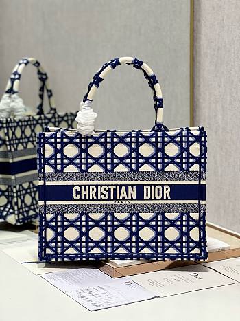 Dior medium blue caro embroidery bag