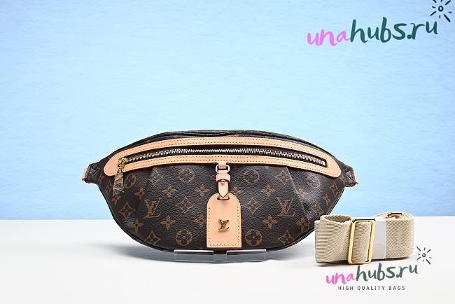 Louis Vuitton M46784 High Rise Belt Bag - 1