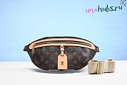 Louis Vuitton M46784 High Rise Belt Bag - 1