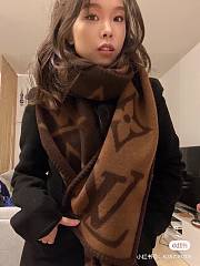 Louis Vuitton Brown Scarf - 2