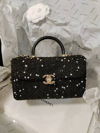 Chanel tweed sequin box bag 