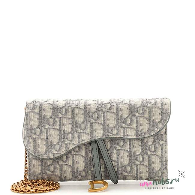 Dior Gray Oblique Canvas Saddle Wallet on Chain Bag - 1