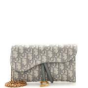 Dior Gray Oblique Canvas Saddle Wallet on Chain Bag - 1