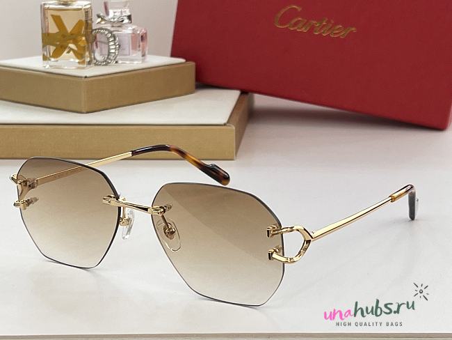 Cartier square sunglasses ( 7 colors) - 1