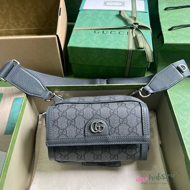 Gucci Ophidia GG Mini Gray 746308 Bag - 1