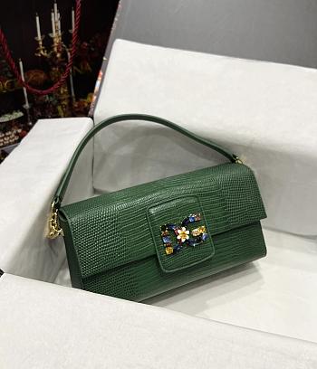 D&G sicily green leather woc bag