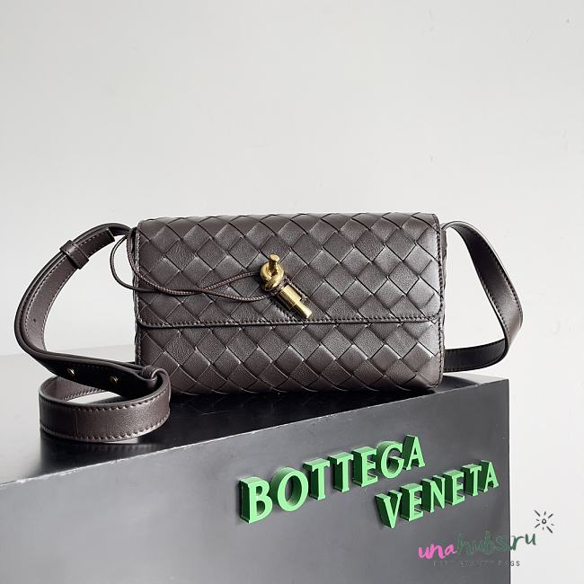 Bottega Veneta Mini Dark Coffee Andiamo Bag - 1