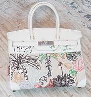 Hermes Birkin Faubourg Tropical 30cm Bag - 1