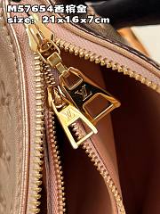 Louis Vuitton Coussin Pm Metallic Bag - 5