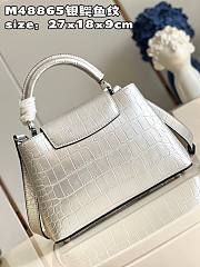 Louis Vuitton Capucines MM Silver Leather Bag - 3