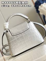 Louis Vuitton Capucines BB Silver Leather Bag - 2