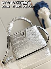 Louis Vuitton Capucines BB Silver Leather Bag - 4