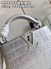 Louis Vuitton Capucines BB Silver Leather Bag - 6