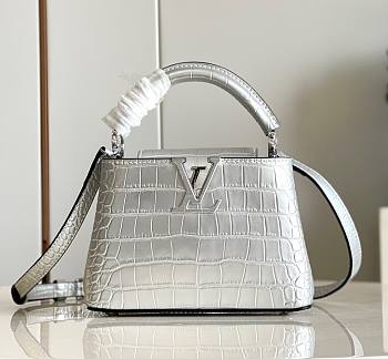 Louis Vuitton Capucines BB Silver Leather Bag