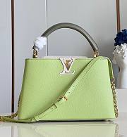 Louis Vuitton Capucines MM Green Leather Bag - 1