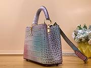 Louis Vuitton Capucines PM brilliant alligator leather bag - 5