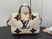 Louis Vuitton Speedy Small Sherling Bag - 1