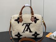 Louis Vuitton Speedy Small Sherling Bag - 4