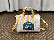 Louis Vuitton Speedy Beige/Ocher 25 Bag - 1