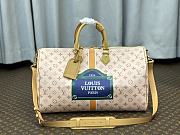 Louis Vuitton Keepall Beige/Ocher 45 Bag - 1