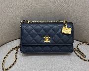 Chanel 23S Woc Black Caviar Leather Bag - 1