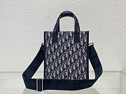 Dior Safari North-South Tote Bag - 6