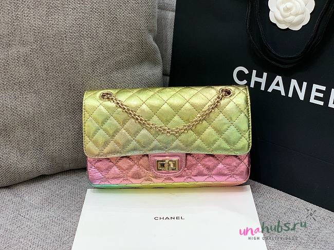 Chanel 2.55 Metallic Goatskin Quilted Small Rainbow Bag - 1