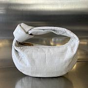 Bottega Veneta white crocodile skin bag - 1