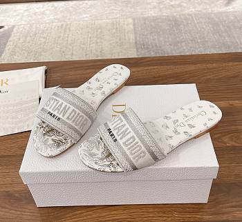 Dior Dway Slide Buttefly Slippers