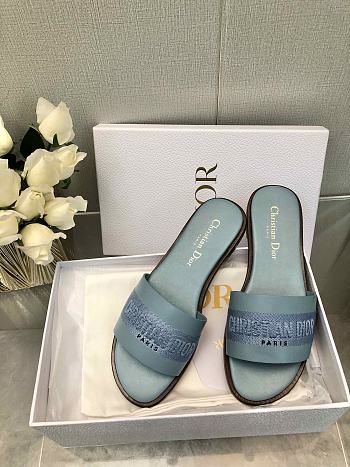 	 Dior Dway Slides in Blue leather