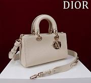 Dior Medium Lady D-Sire Powder Cream Bull Leather - 26cm - 4