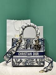 Dior Lady D-Lite Bag Embroidery - 24*11*20cm - 2