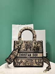 Dior Lady D-Lite Bag Embroidery - 24*11*20cm - 4