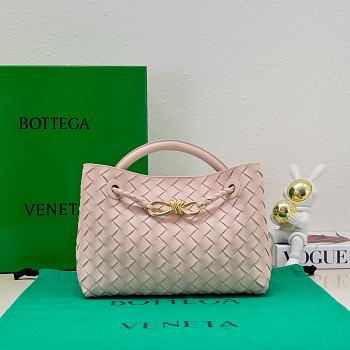 	 Bottega Veneta Small Andiamo Pink Handbag - 25*20*10cm