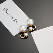 Dior CD Gold Earrings - 3