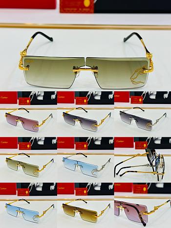Cartier Rectangular Leopard Sunglasses 
