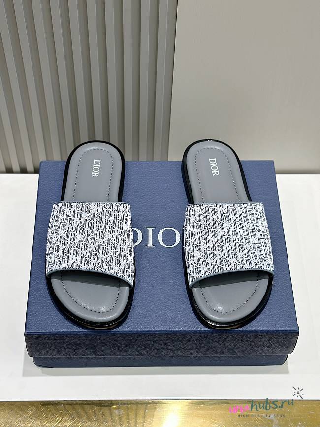 Dior Oblique Blue Canvas Slides - 1