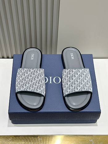 Dior Oblique Blue Canvas Slides