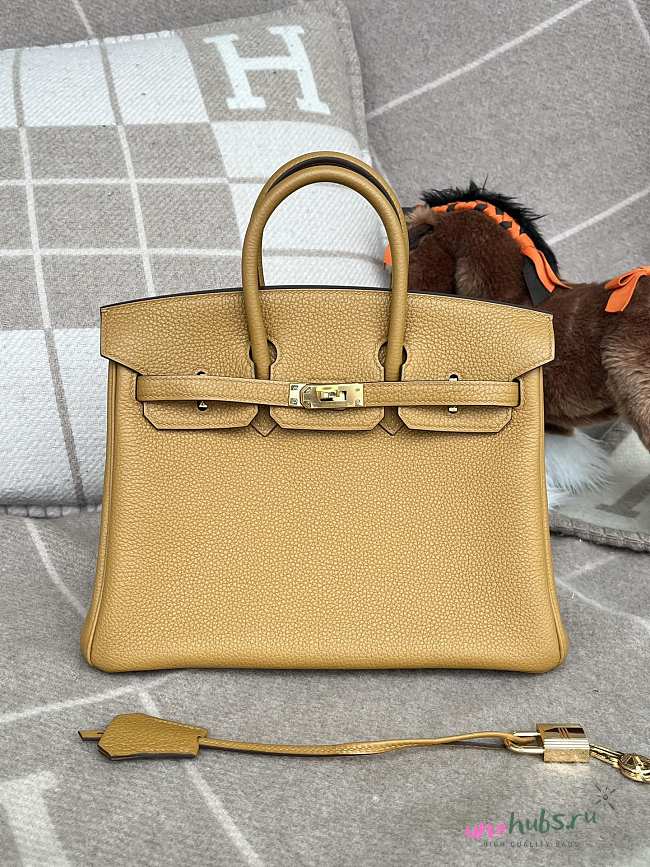 Hermes Birkin 25cm Sesame Yellow Bag - 1