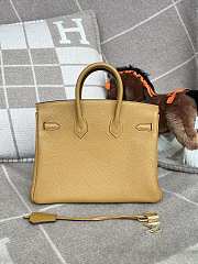 Hermes Birkin 25cm Sesame Yellow Bag - 6