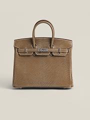 Hermes Lizard Birkin Brown 25cm Bag - 1