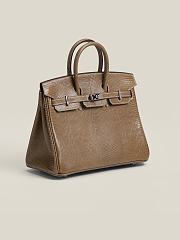 Hermes Lizard Birkin Brown 25cm Bag - 4