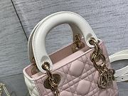 Dior Lady Two-Toned Mini Bag Pink&White - 17x7x15cm - 2